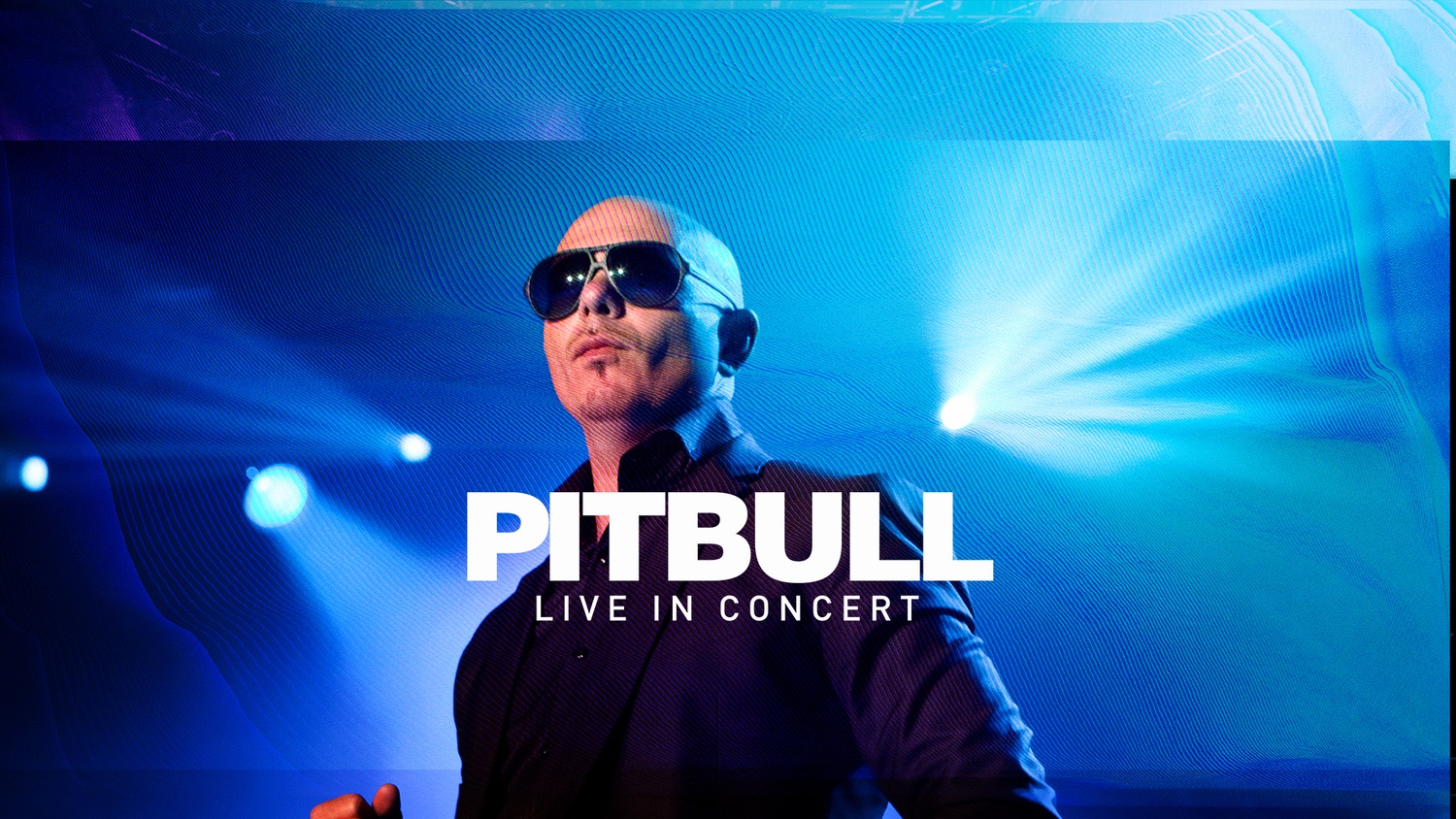 Pitbull Concert Albuquerque 2019 Pitbull Dog